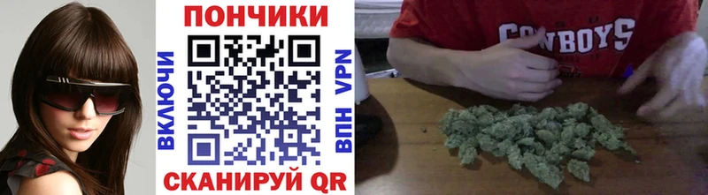 Бошки Шишки Amnesia  Купить закладки  Жирновск 